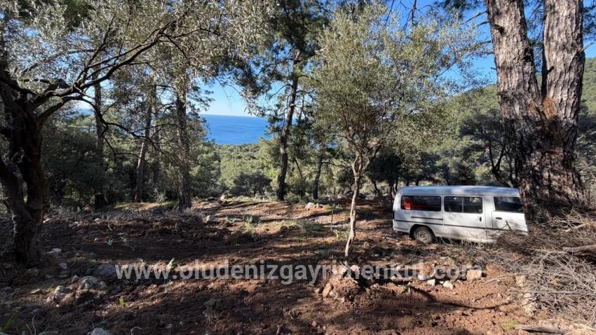Köyceğiz Çandır Mah. Satılık Tarla - Konut İmar Durumlu - 5.715 m²