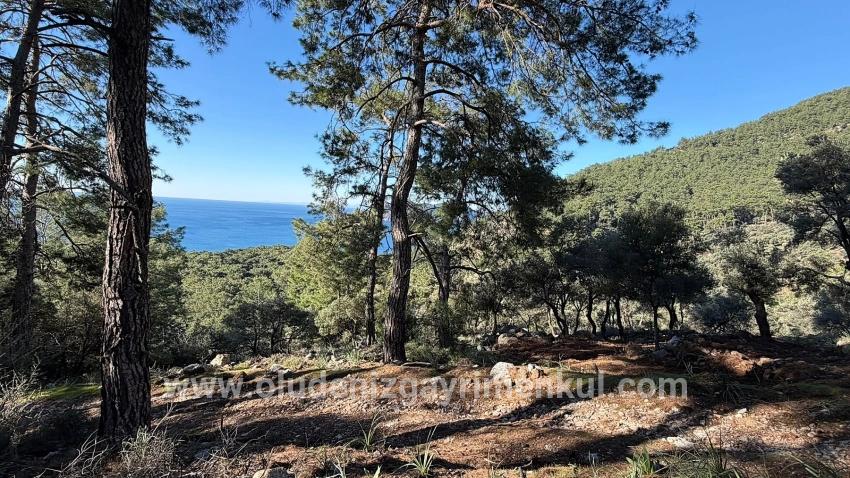 Köyceğiz Çandır Mah. Satılık Tarla - Konut İmar Durumlu - 5.715 m²