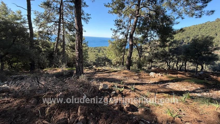 Köyceğiz Çandır Mah. Satılık Tarla - Konut İmar Durumlu - 5.715 m²