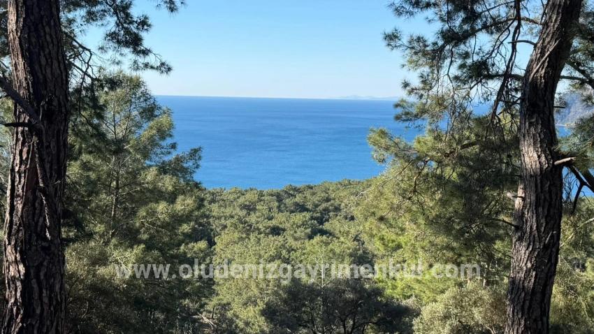 Köyceğiz Çandır Mah. Satılık Tarla - Konut İmar Durumlu - 5.715 m²