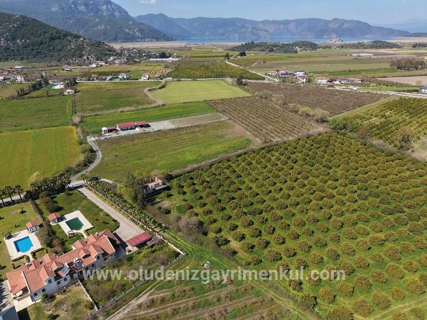 Dalyan Merkeze Yakın 17.550m2 Satılık Bağ-bahçe