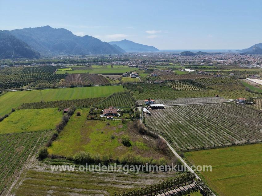 Dalyan Merkeze Yakın 17.550m2 Satılık Bağ-bahçe