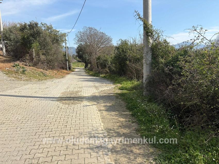 Köyceğiz Çandır Köyü'de Hisseli Rızai Taksimli 2.023m2 Satılık Tarla