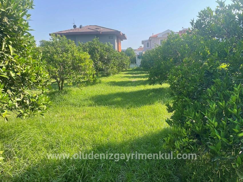 Dalyan Gülpınar'da 722m2 Satılık Arsa