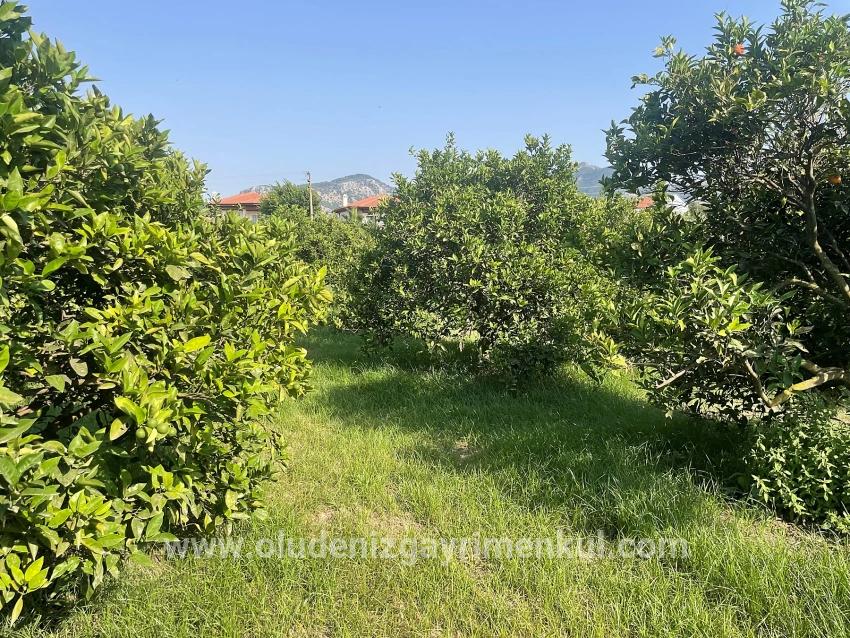 Dalyan Gülpınar'da 722m2 Satılık Arsa
