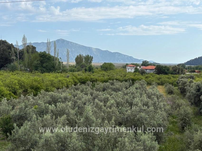 Çandır'da Deniz Ve Göl Manzaralı 1.721m2 Satılık Tarla
