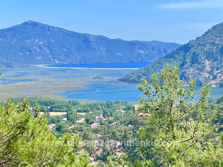 Köyceğiz Çandır Mah. Satılık Tarla - Tarla İmar Durumlu - 1.252 m²