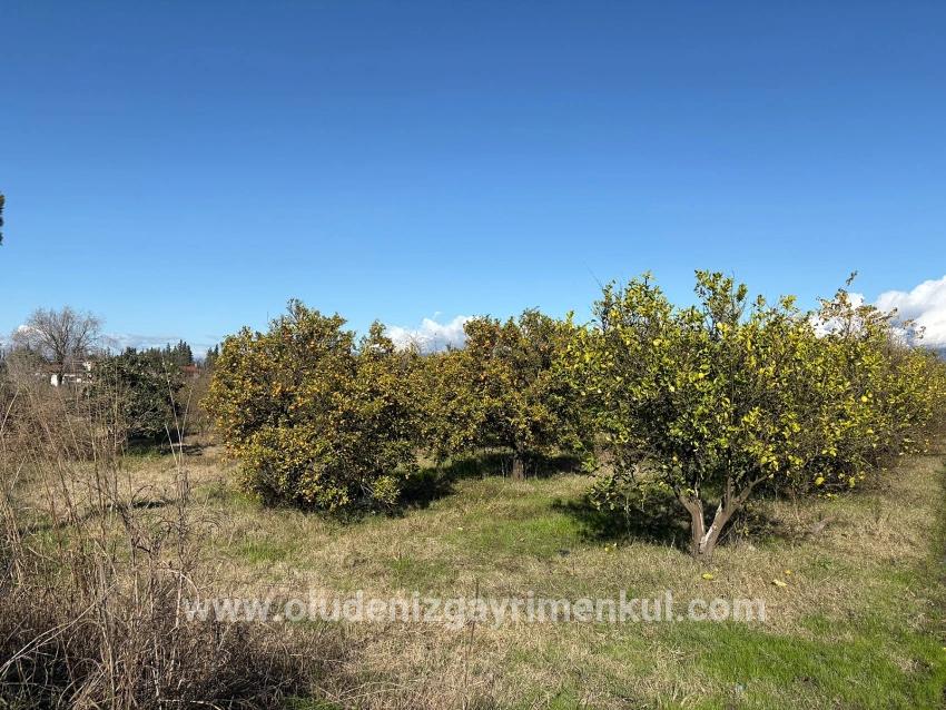 Ortaca Tepearası Mah. Satılık Tarla - Bağ & bahçe İmar Durumlu - 23.000 m²