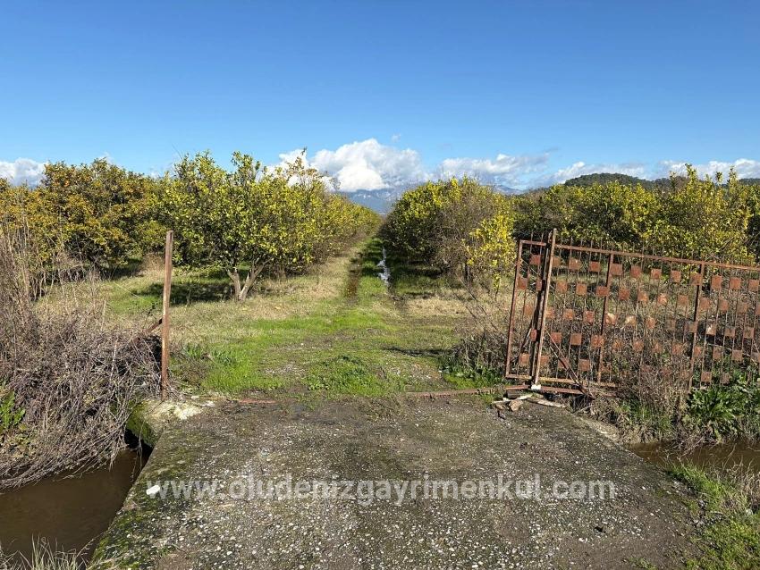 Ortaca Tepearası Mah. Satılık Tarla - Bağ & bahçe İmar Durumlu - 23.000 m²