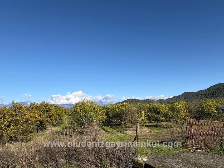 Ortaca Tepearası Mah. Satılık Tarla - Bağ & bahçe İmar Durumlu - 23.000 m²