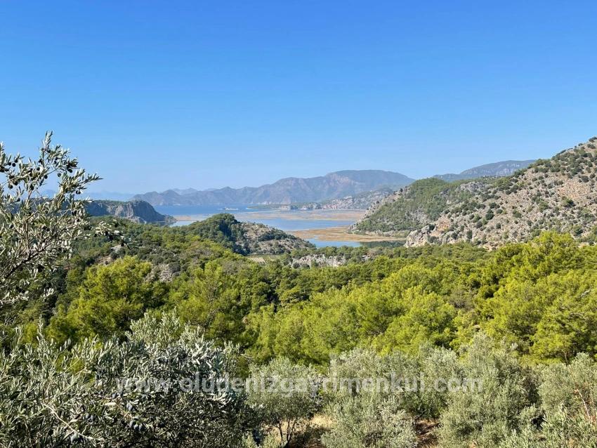 Gökbel'de Full Deniz Manzaralı 3514m2 Satılık Arsa