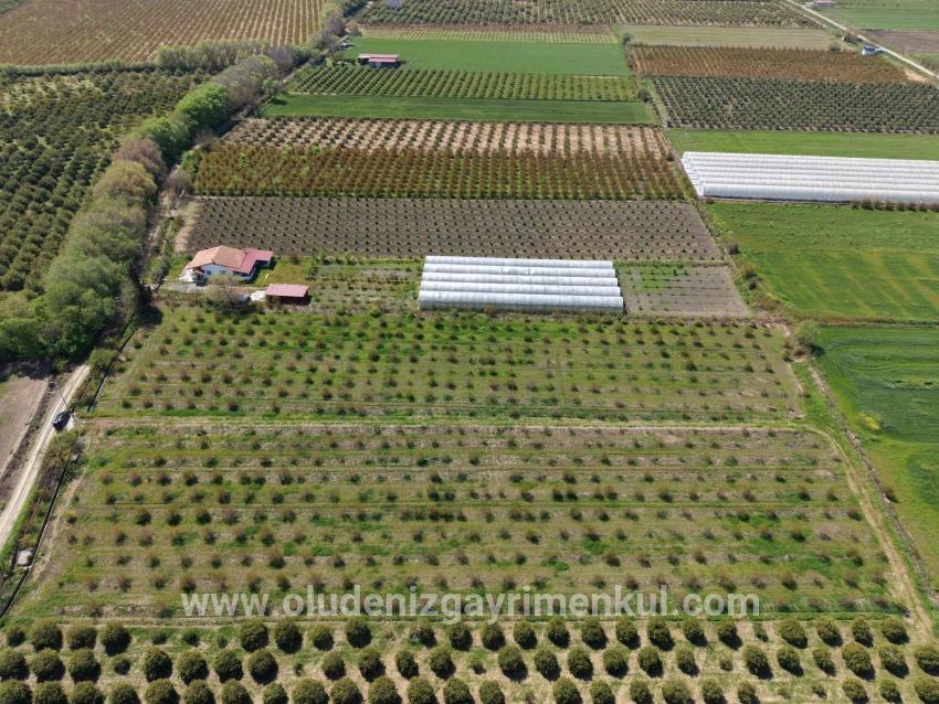 Ortaca Eskiköy Mah. Satılık Tarla - Tarla İmar Durumlu - 16.000 m²