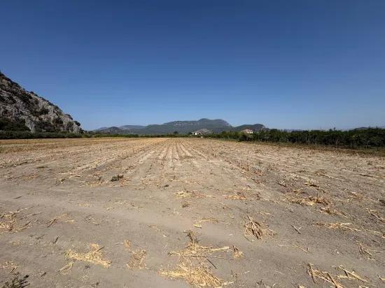 Dalyan'da 20.786m2 satılık tarla