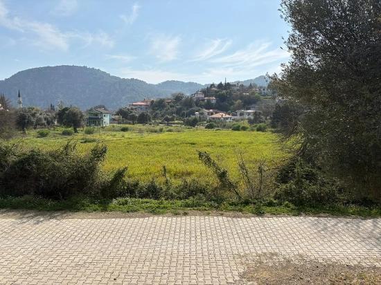 Köyceğiz Çandır Köyü'de Hisseli Rızai Taksimli 2.023m2 Satılık Tarla