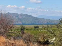 Ortaca Dalyan Mah. Satılık Tarla - Tarla İmar Durumlu - 5.000 m²