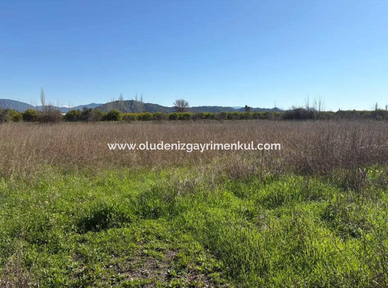 Ortaca Yeşilyurt'da 4064M2 İmarılı Satılık Arsa