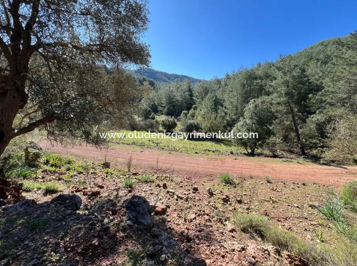 Gökbel'de Doğa Ve Orman İçerisinde Satılık Tarla