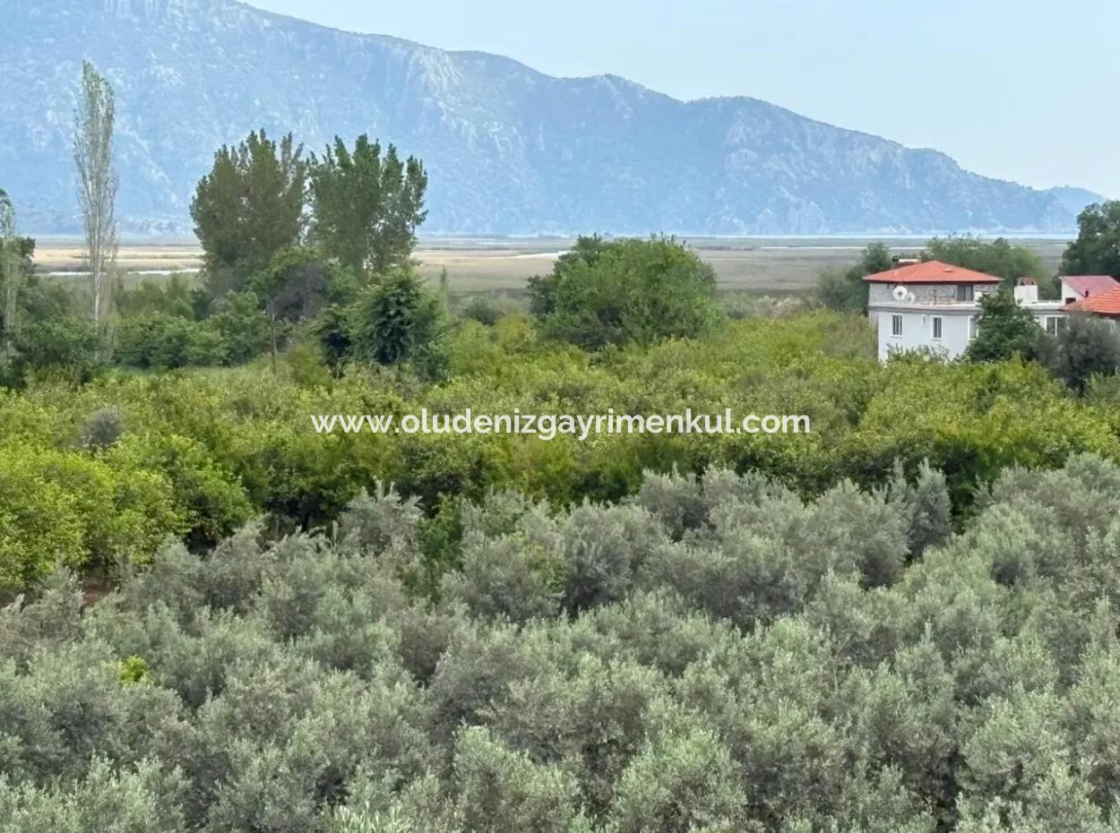 Çandır Köyünde Deniz Ve Göl Manzaralı 1,721M2 Satılık Tarla