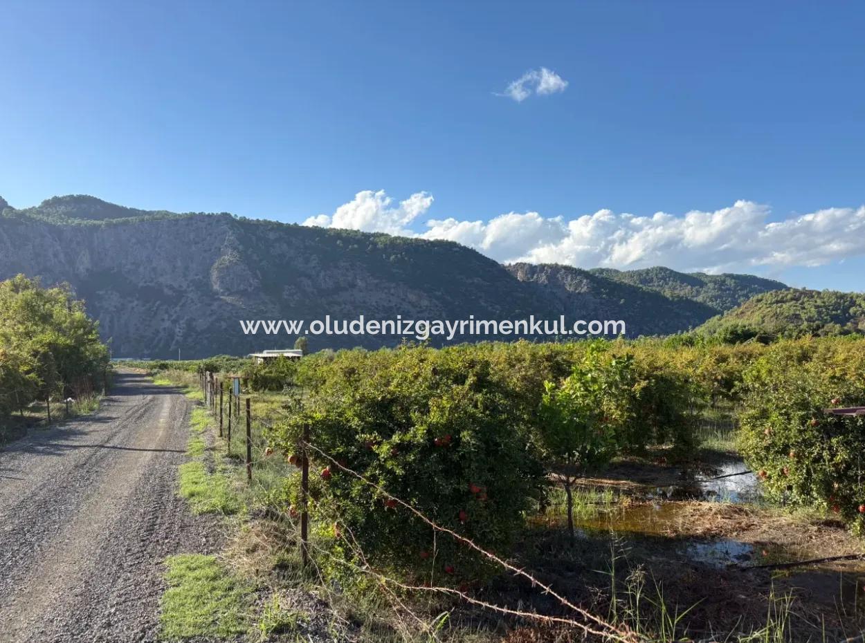 Ortaca Yeşilyurt'ta 3900M2 Satılık Arsa