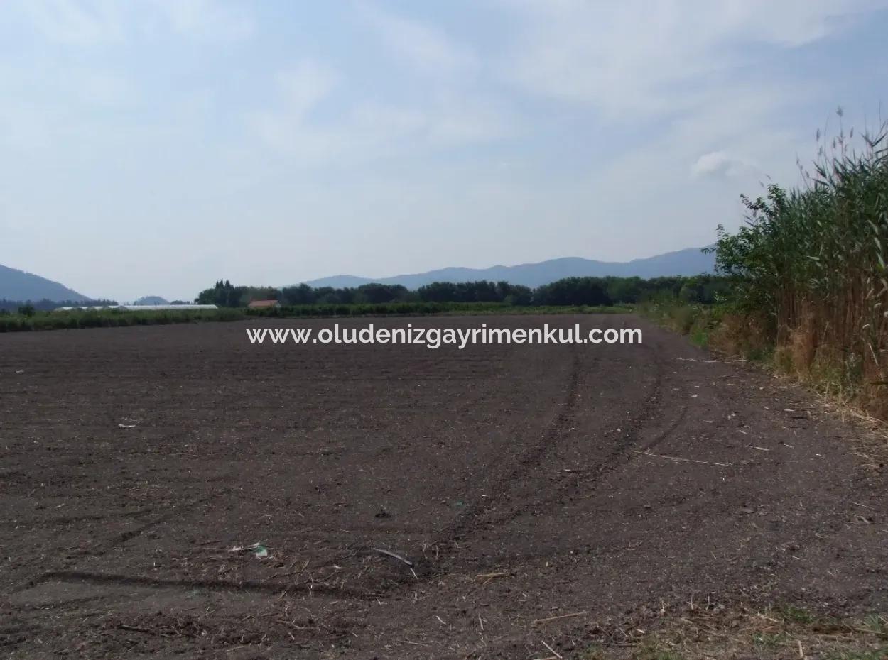 Eskiköyde Satılık Arsa Tarla Ortaca Dalyan Eskiköyde 15,760M2 Satlık Arsa Tarla