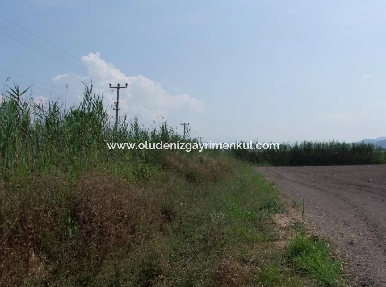 Eskiköyde Satılık Arsa Tarla Ortaca Dalyan Eskiköyde 15,760M2 Satlık Arsa Tarla