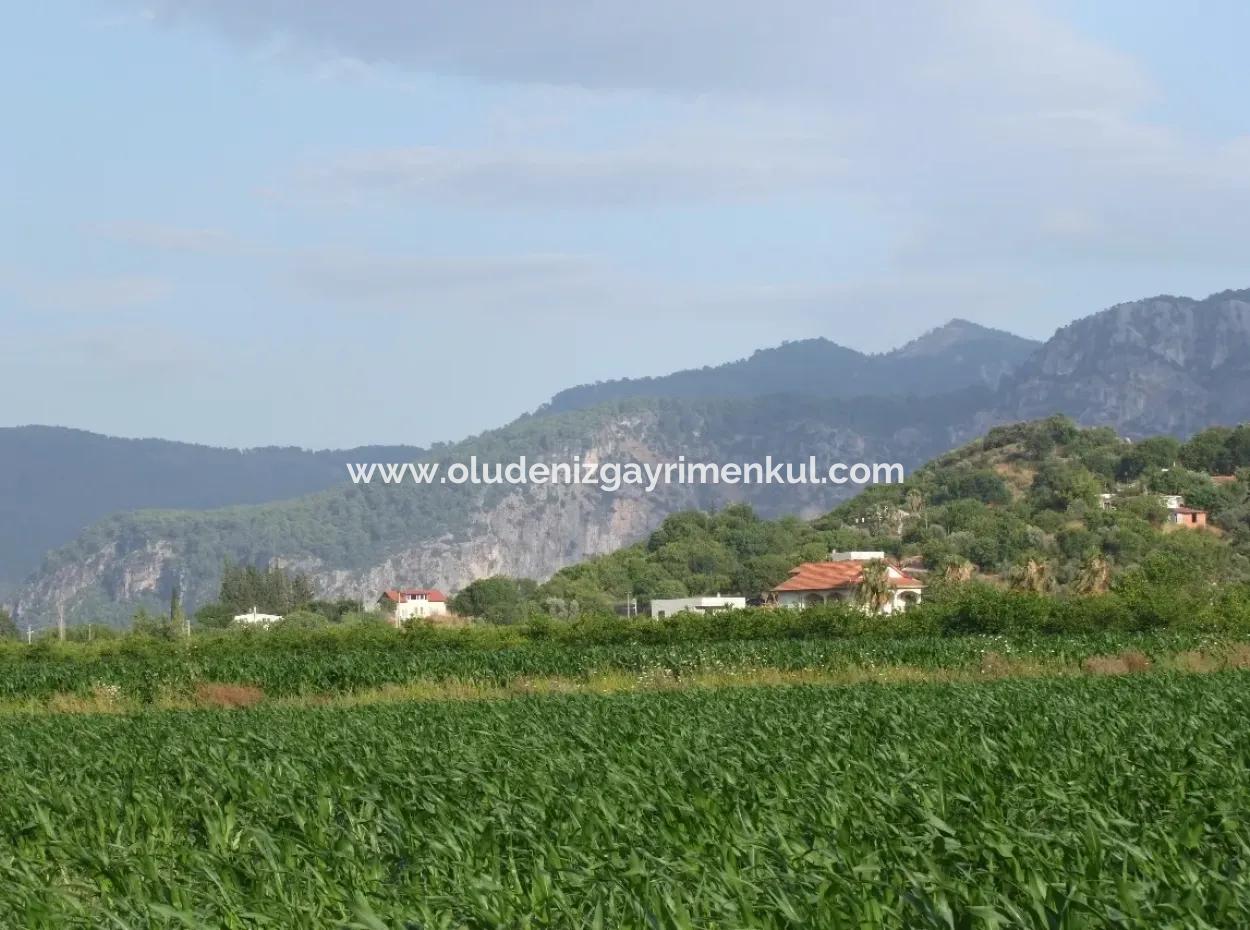 Dalyan Satılık Tarla Dalyan Merkeze Yakın 14,612M2 Satılık Tarla