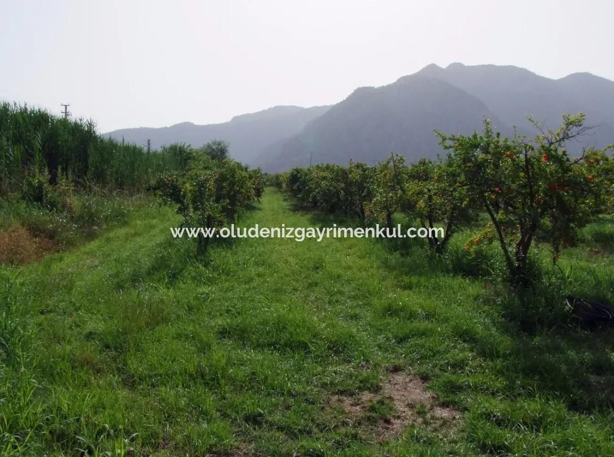 Dalyan İztuzu Satılık Bahçe Dalyan Göle Sıfır Satılık Arsa