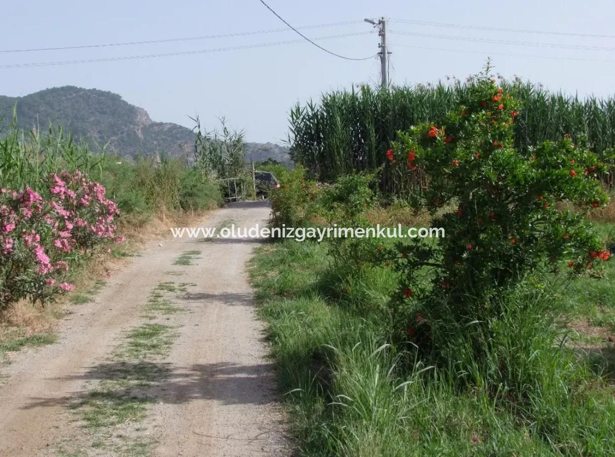 Dalyan İztuzu Satılık Bahçe Dalyan Göle Sıfır Satılık Arsa