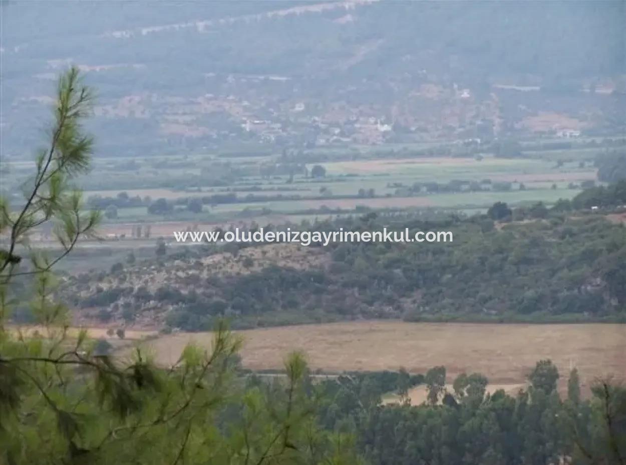 Gökçe Satılık Arsa Gökçe 21671M2 Satılık Tarla