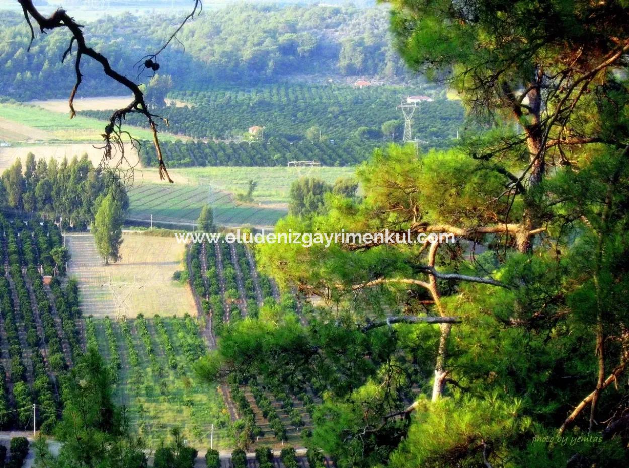 Gökçe Satılık Arsa Gökçe 21671M2 Satılık Tarla