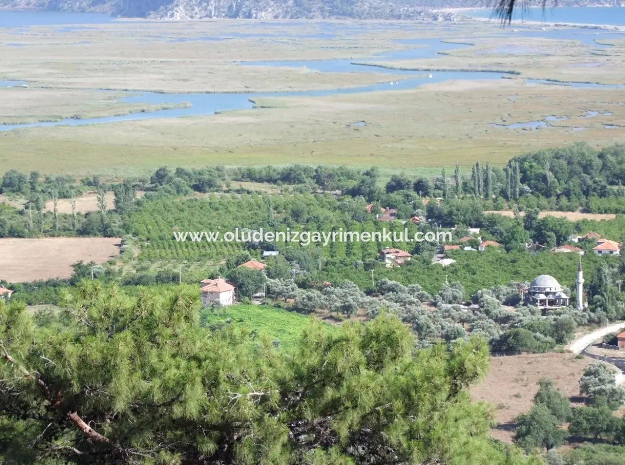 Çandır Satılık Arsa Deniz Manzaralı 6265 M2 Satılık Arsa