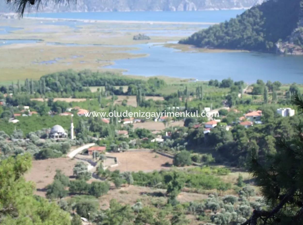 Çandır Satılık Arsa Deniz Manzaralı 6265 M2 Satılık Arsa