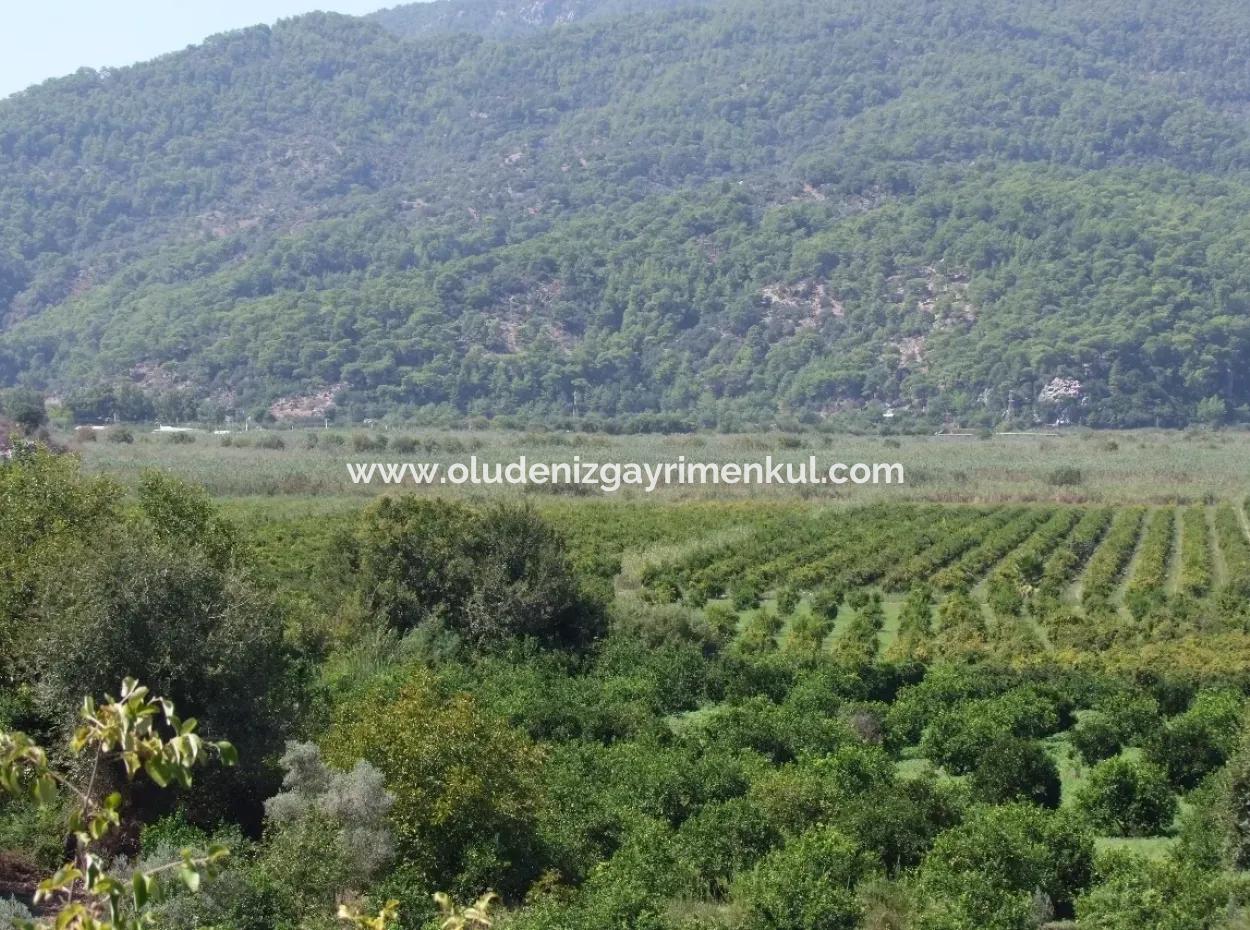Dalyan Satılık Tarla Dalyan 73410M2 Satılık Tarla