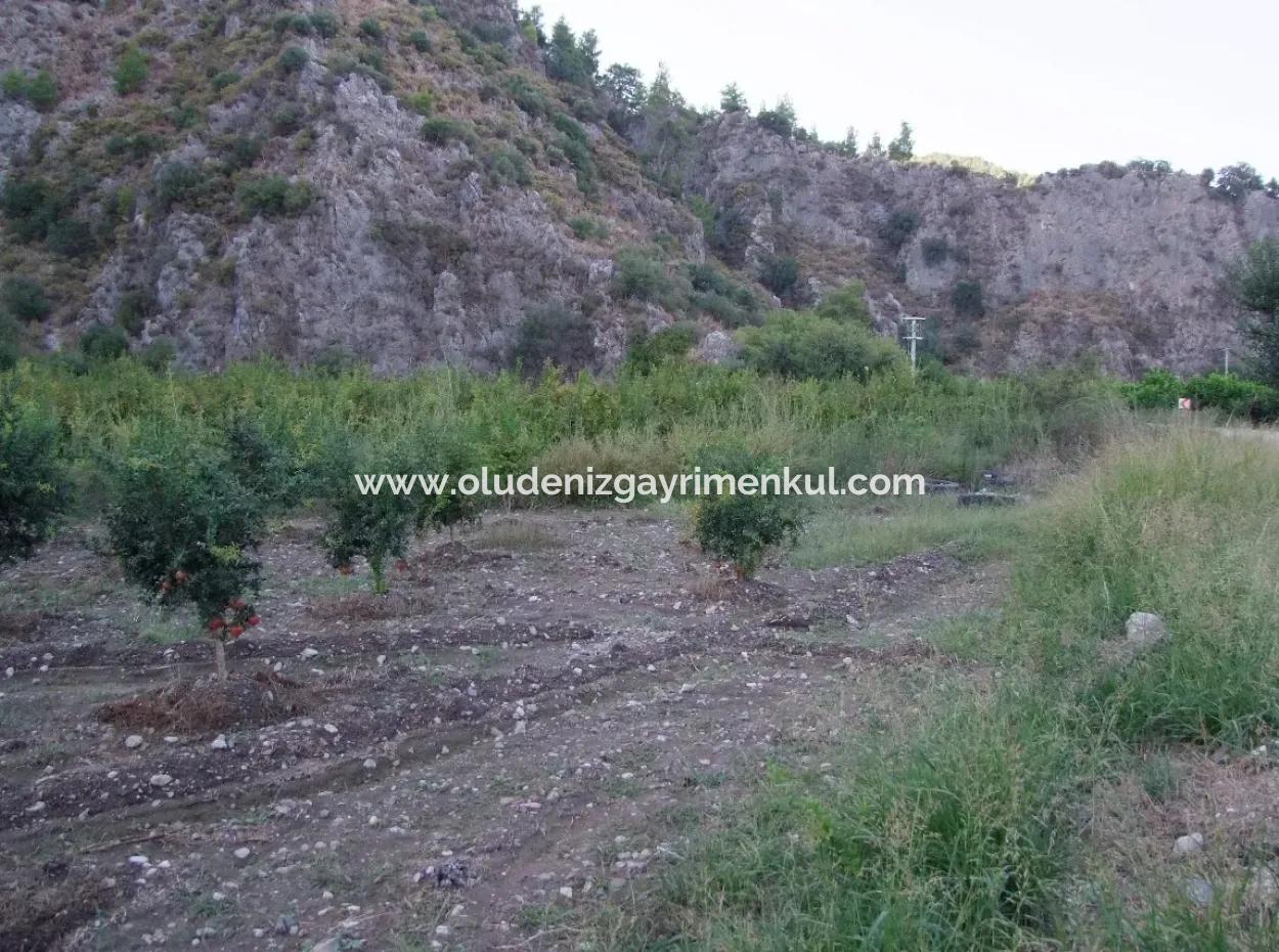 Mergenlide Satılık Nar Bahçe Ortaca Mergenlide Satılık Arsa