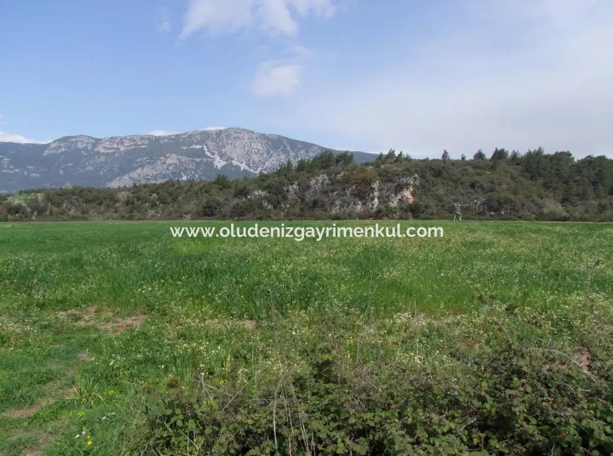 Akyaka Gökçede Satılık Arazi Denize Yakın Çiftlik İçin 21625M2 Satılık Tarla Yatırımlık Satılık Ars