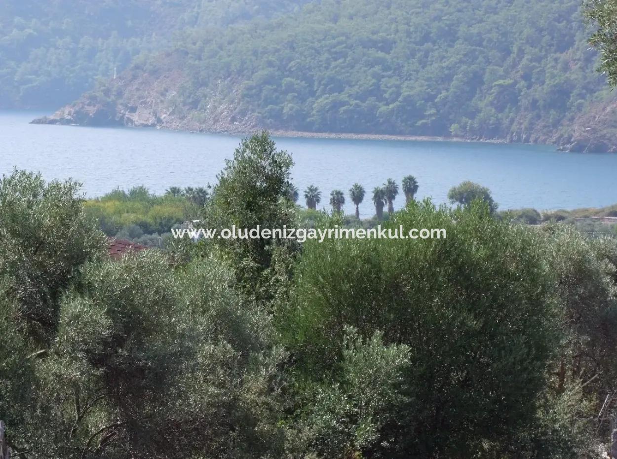 Ekincik Satılık Arsa Deniz Manzaralı 5,391M2 Satılık Arsa