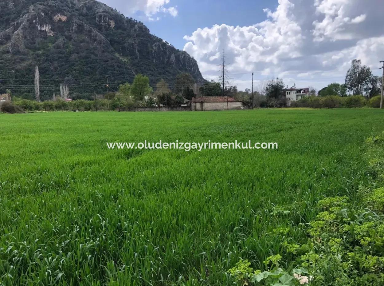 Okçularda Satılık Arsa Marmarlı 1500M2 Satılık Arsa