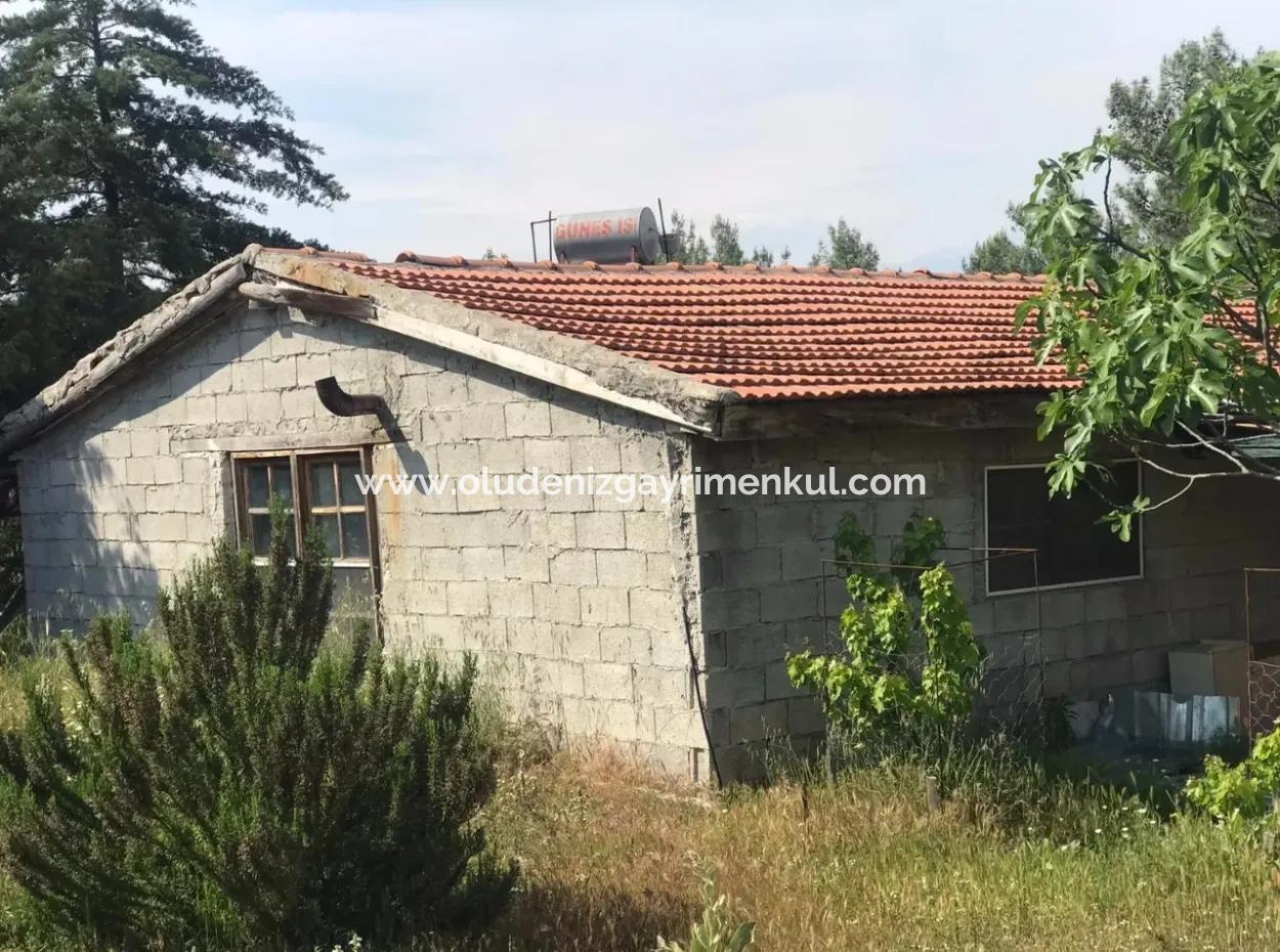 Seydikemer Korubükün Satılık 76000M2 Ciftlik Arazisi