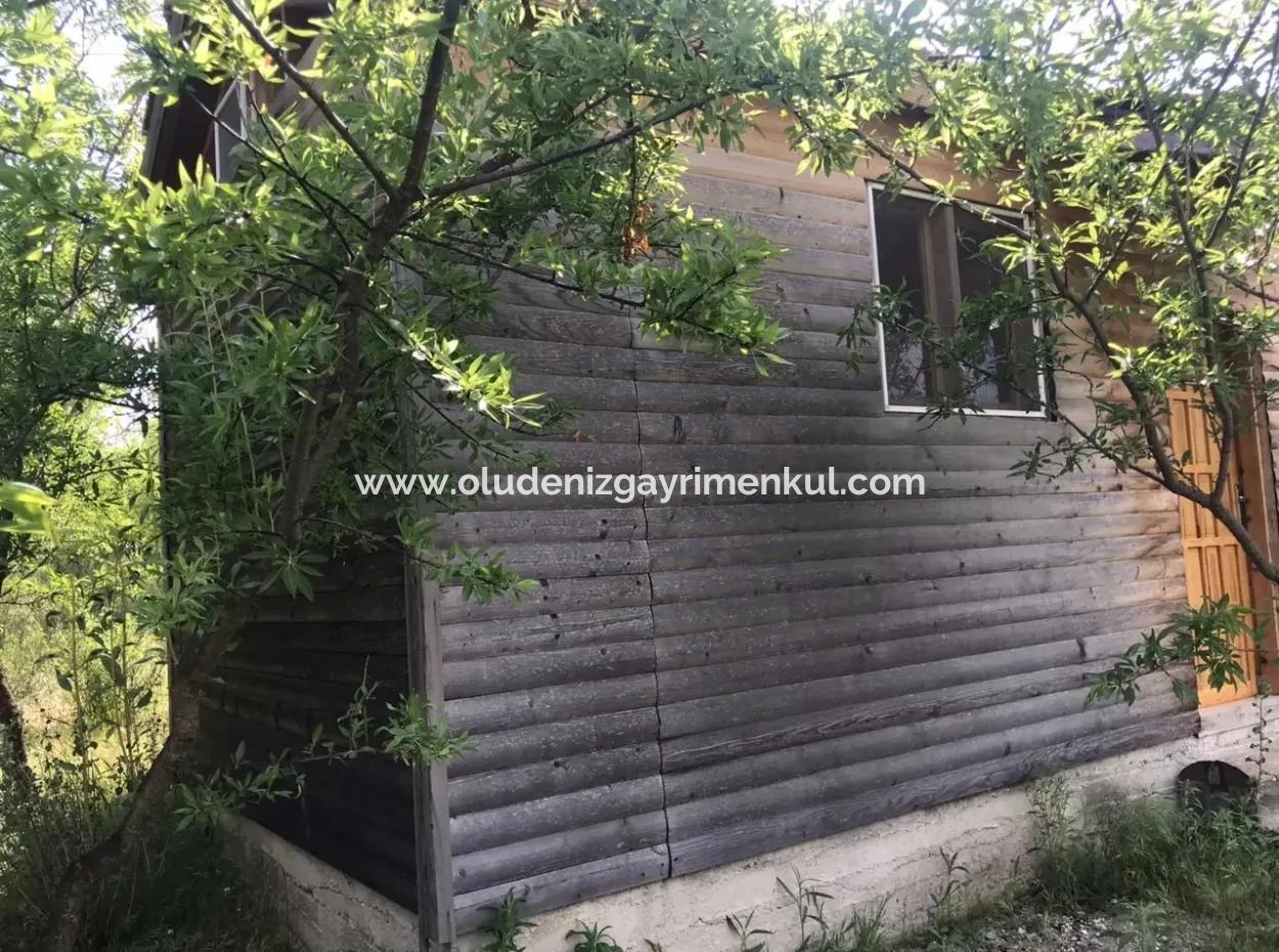 Seydikemer Korubükün Satılık 76000M2 Ciftlik Arazisi