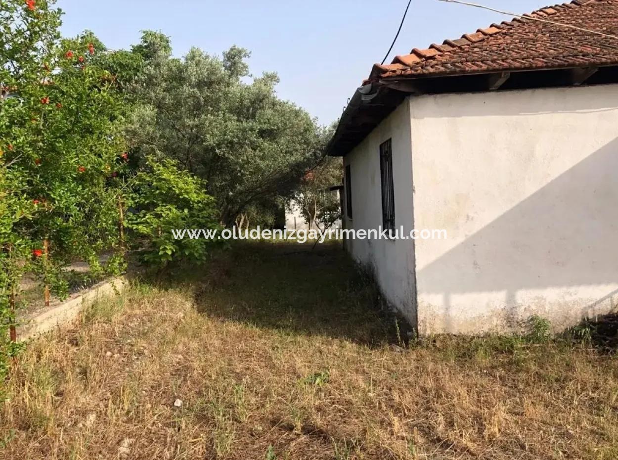 Köyceğiz Zeytinalanı'nda 903M2 2+1 Köy Evi Satılıktır.