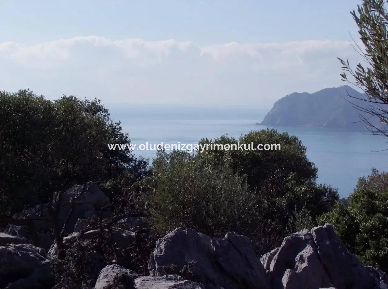 Çandır Deniz Manzaralı 5367M2 Tarla Arsa Satılık