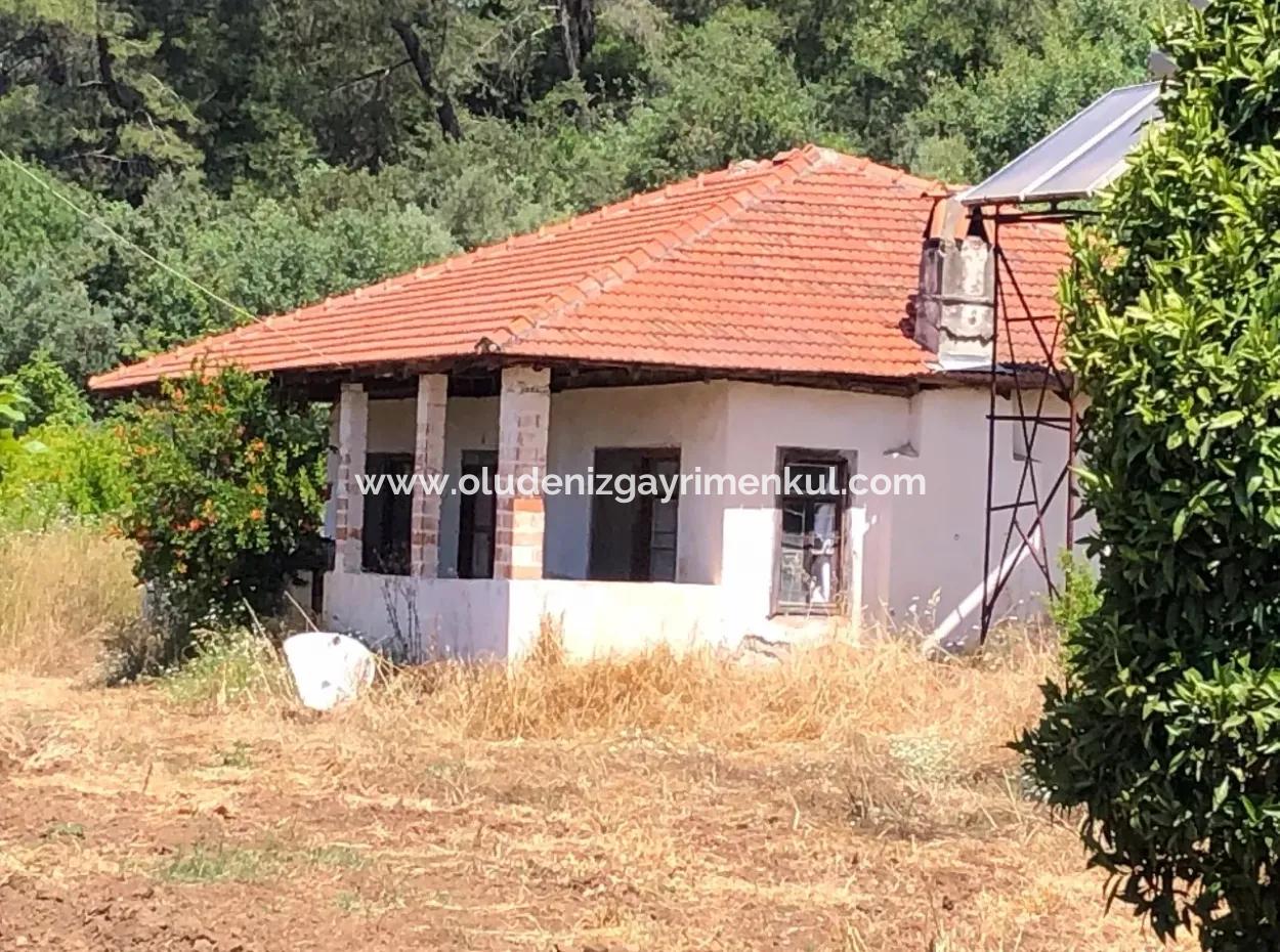 Akyaka Gökçe Satılık Bahçe Denize Yakın 38,000M2 Satılık Arsa