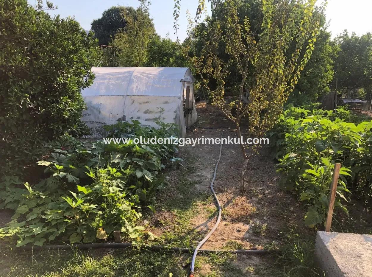 Okçular Satılık Köyevi 752M2 Arsa İçinde Satılık Bungolev