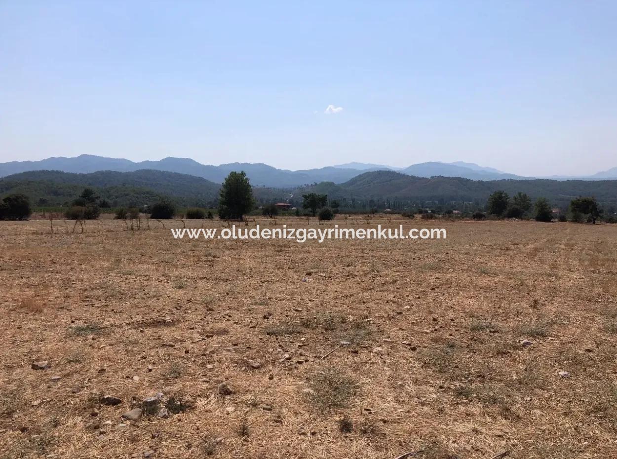 Köyceğiz Zeytinalanı'nda Göl Manzaralı 11.227M2 Satılık Arsa