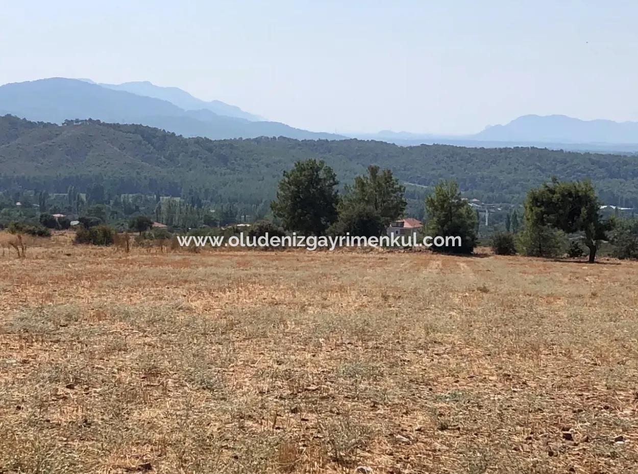 Köyceğiz Zeytinalanı'nda Göl Manzaralı 11.227M2 Satılık Arsa