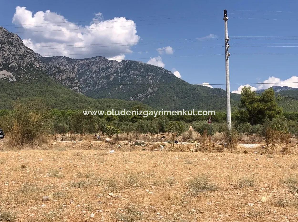 Köyceğiz Zeytinalanı'nda Göl Manzaralı 11.227M2 Satılık Arsa