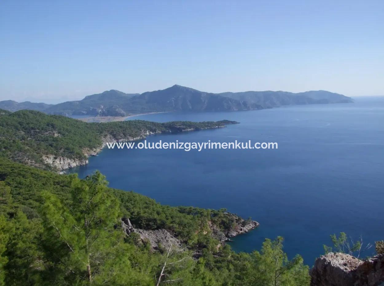 Ekincik Çandır Arasın'da Deniz Manzaralı Kelepir Emlak Satılık Arsa