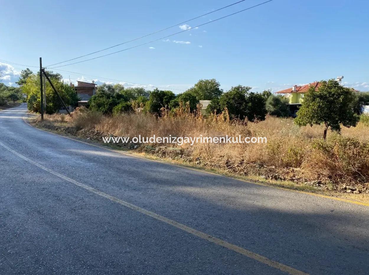 Kavakarası'nda 2506M2 Anayola Sıfır Satılık Arsa