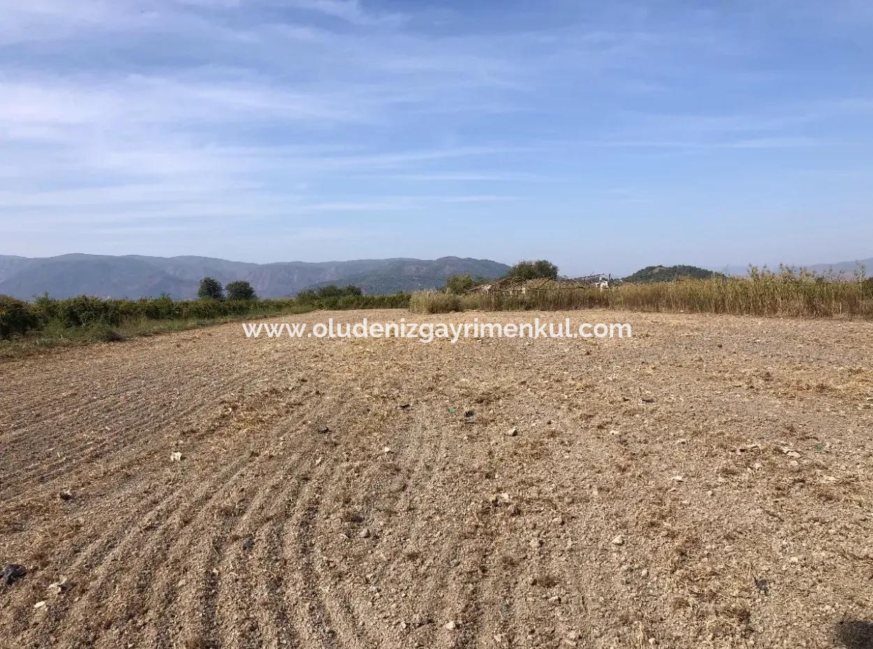 Esköyde Satılık Tarla Arsa 8500M2 Satılık Tarla Arsa