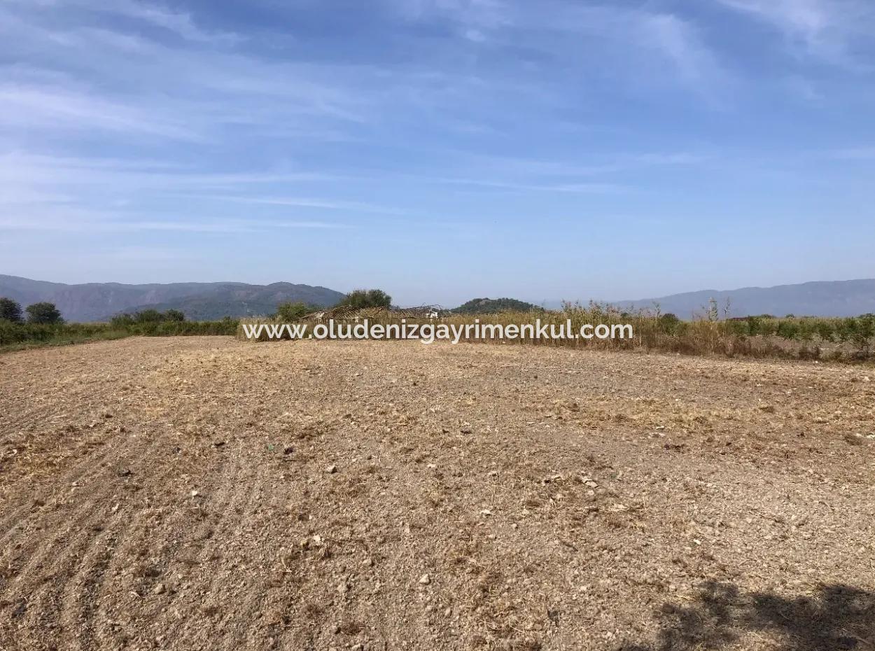 Esköyde Satılık Tarla Arsa 8500M2 Satılık Tarla Arsa